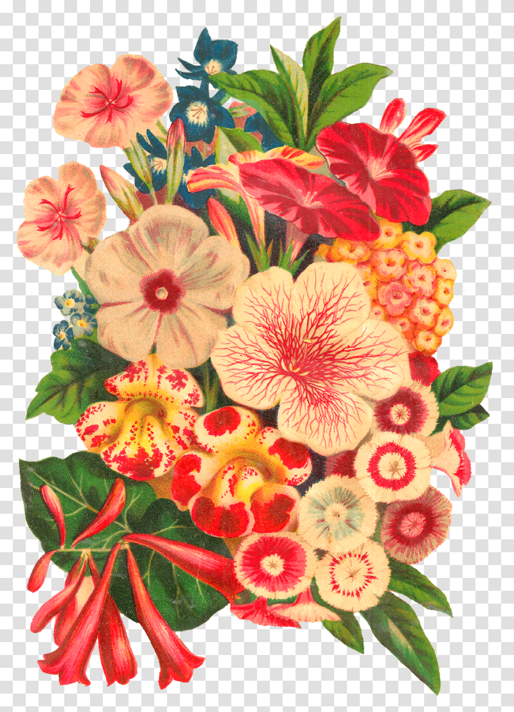 Antique Images Stock Seed Botanical Flowers Bouquet, Plant, Blossom, Flower Arrangement, Flower Bouquet Transparent Png