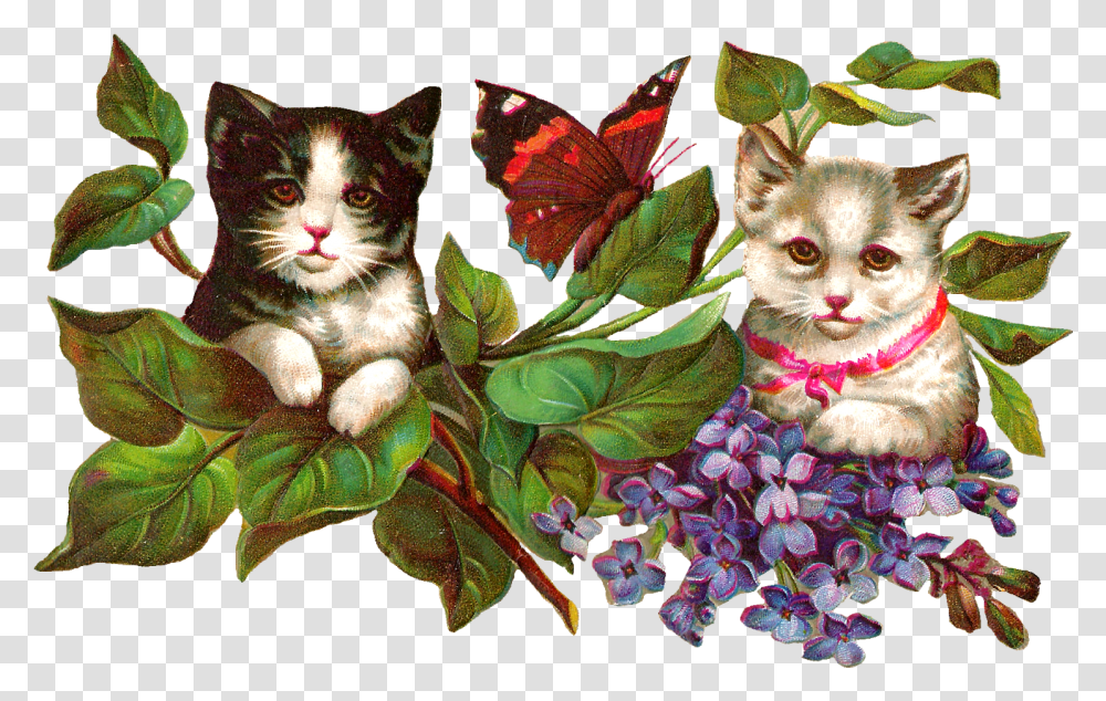 Antique Images Vintage Image Vintage Flower Cat Clipart, Plant, Leaf, Pet, Mammal Transparent Png