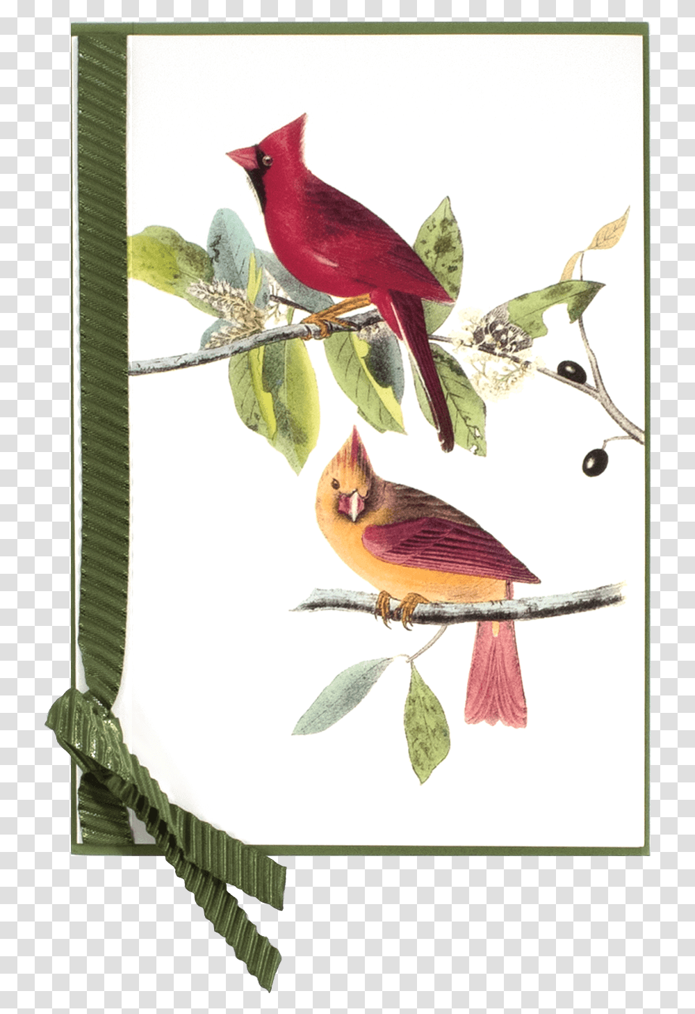 Antique Red Bird Northern Cardinal, Animal, Finch, Leaf, Plant Transparent Png