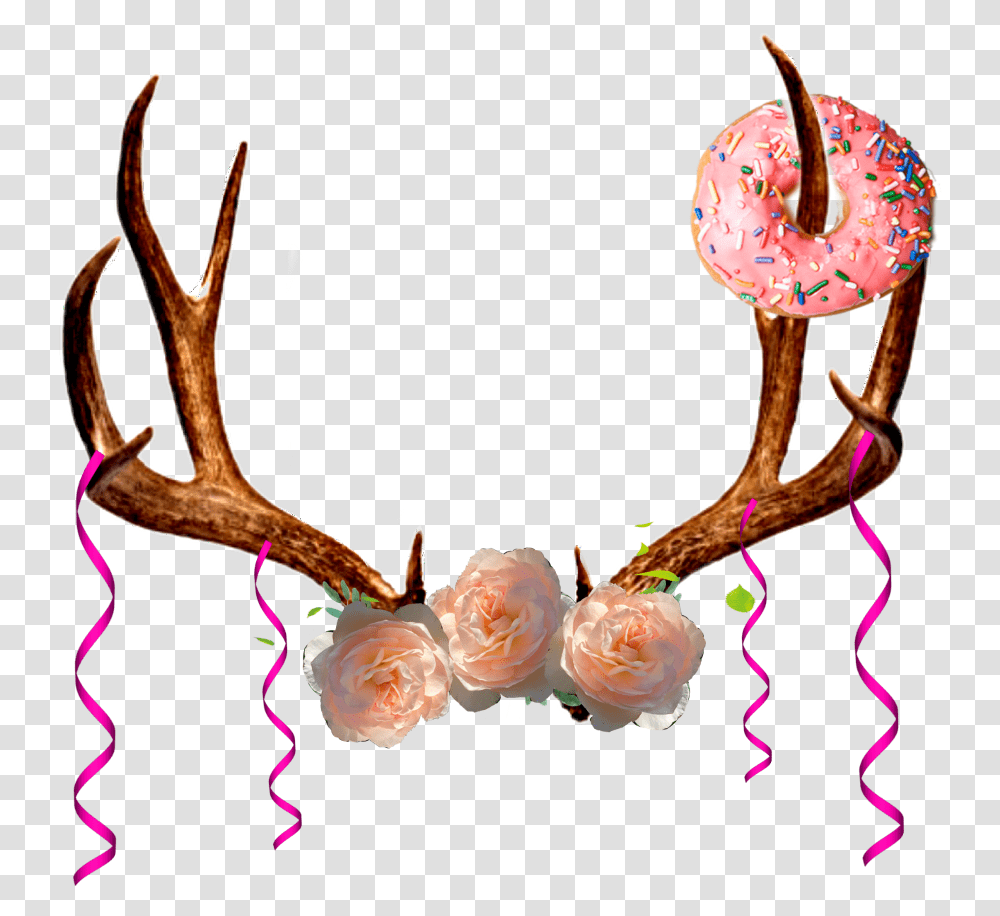 Antler Clipart Download, Animal, Rose, Flower, Plant Transparent Png