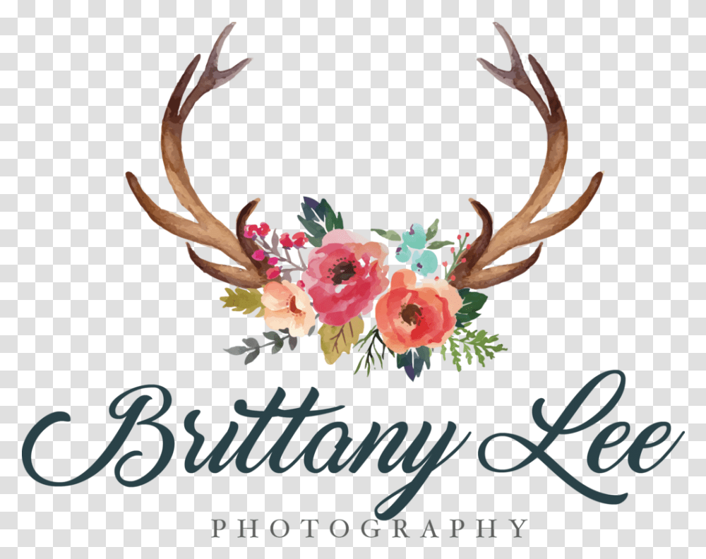 Antler Clipart Flower Antlers And Flowers Clipart, Floral Design, Pattern, Mail Transparent Png