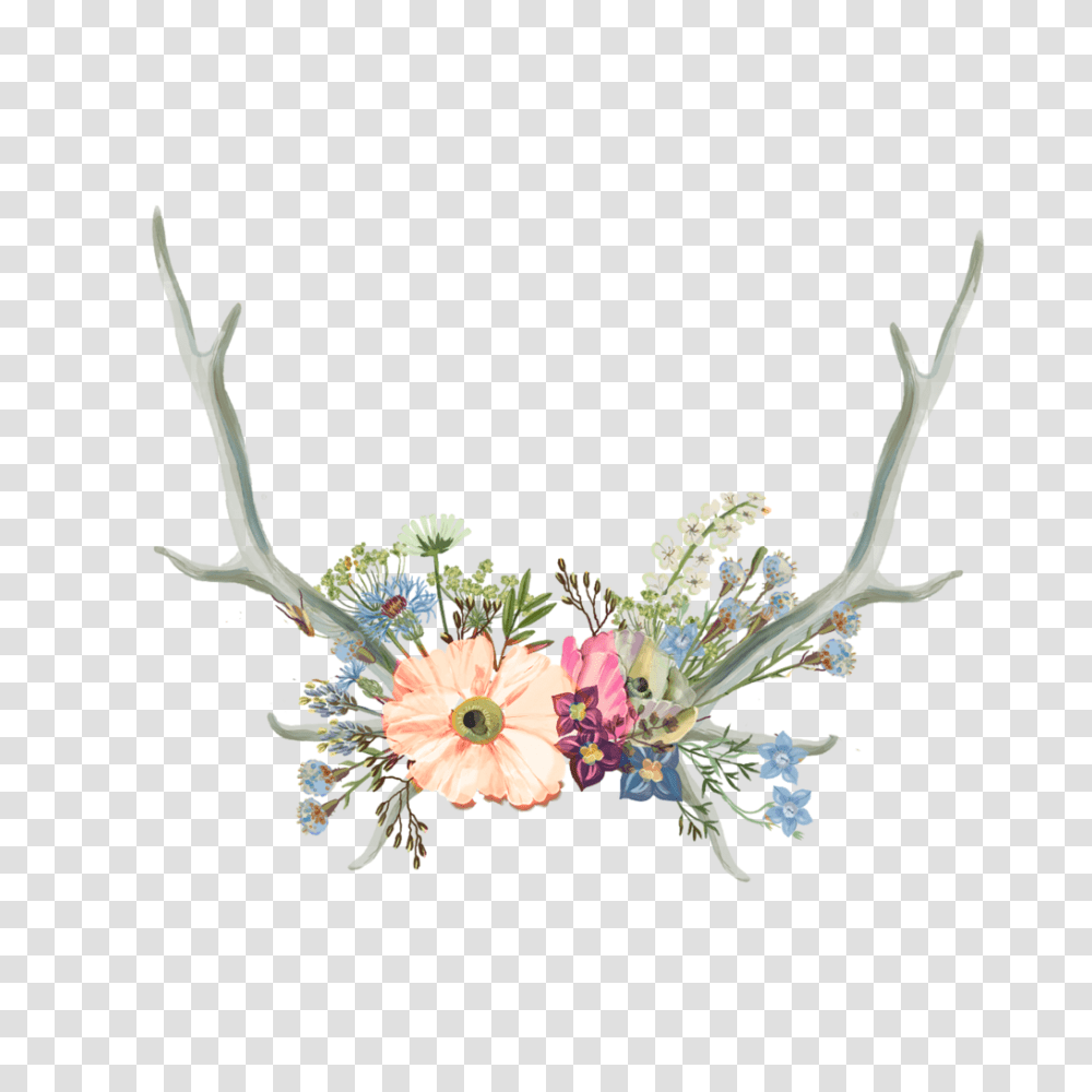 Antler Clipart Flower Crown Flower Crown, Accessories, Accessory, Jewelry, Floral Design Transparent Png
