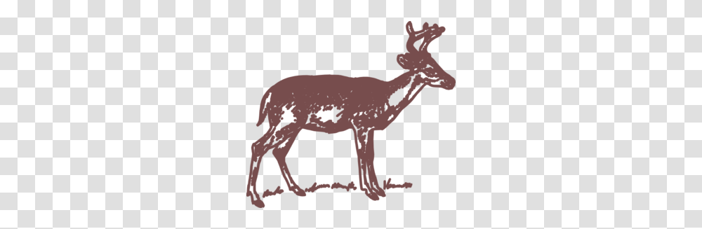 Antler Deer Skull Clipart, Poster, Advertisement, Animal, Mammal Transparent Png