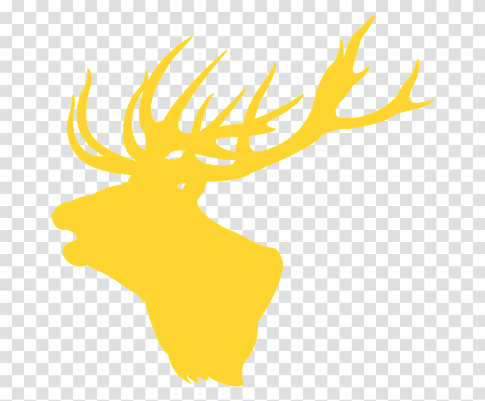 Antler, Deer, Wildlife, Mammal, Animal Transparent Png