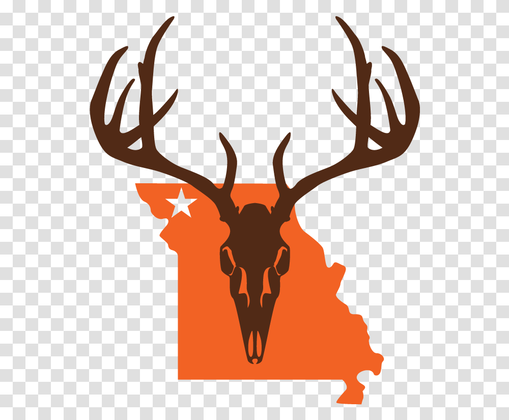 Antler, Elk, Deer, Wildlife, Mammal Transparent Png