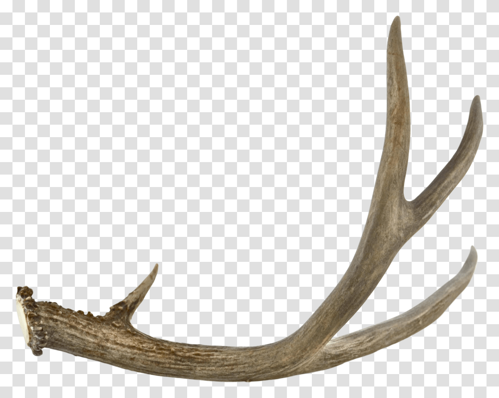 Antler Jaw Antlers, Axe, Tool Transparent Png