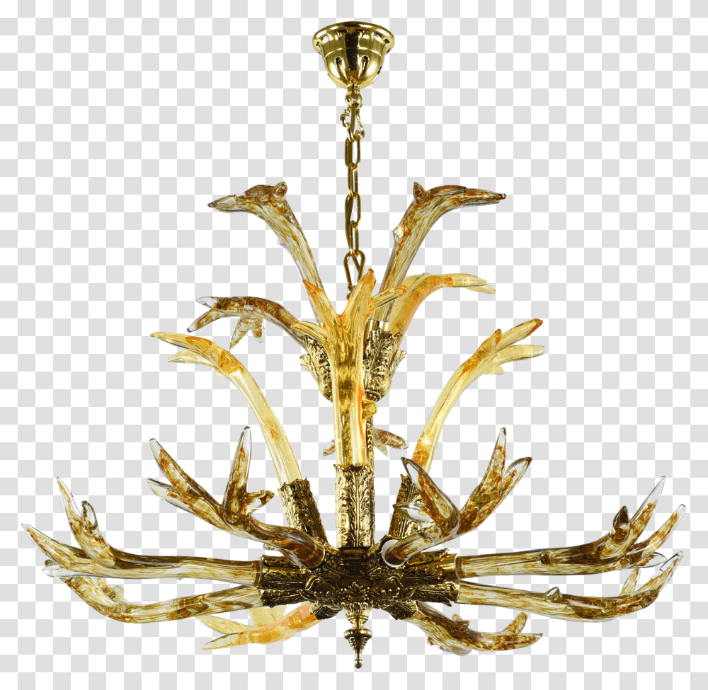 Antler, Lamp, Chandelier, Spider, Invertebrate Transparent Png