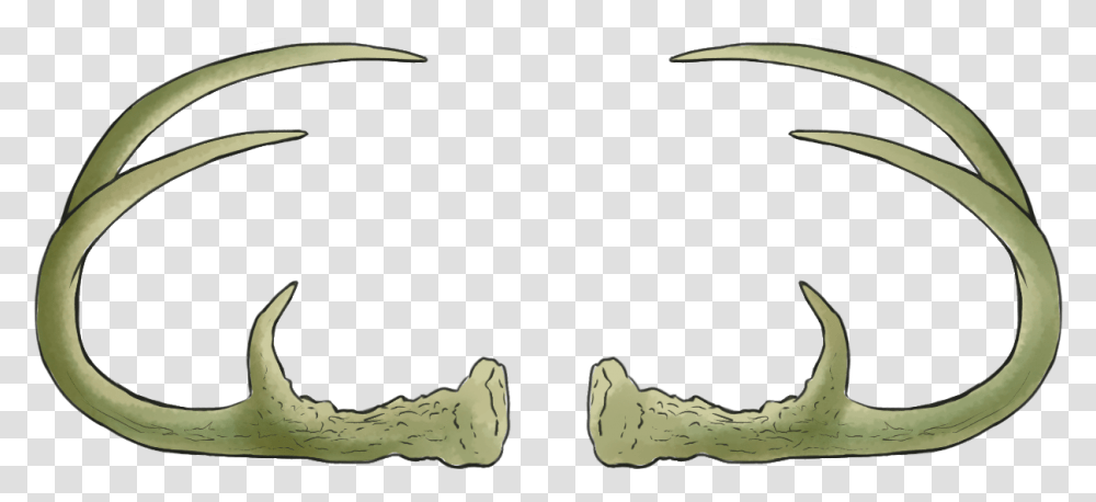 Antler Overlay, Sink Faucet, Astronomy Transparent Png