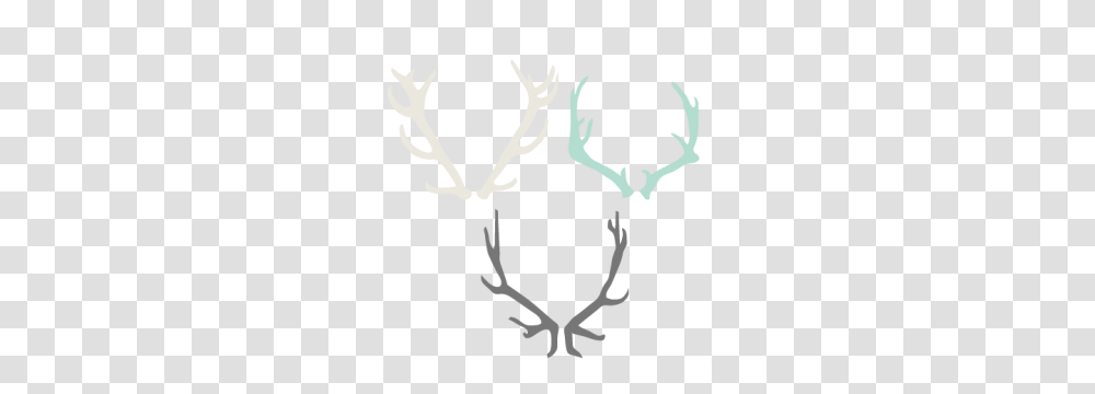 Antler Set Cutting For Scrapbooking Cute, Stencil Transparent Png
