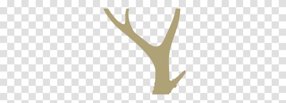 Antler, Slingshot Transparent Png