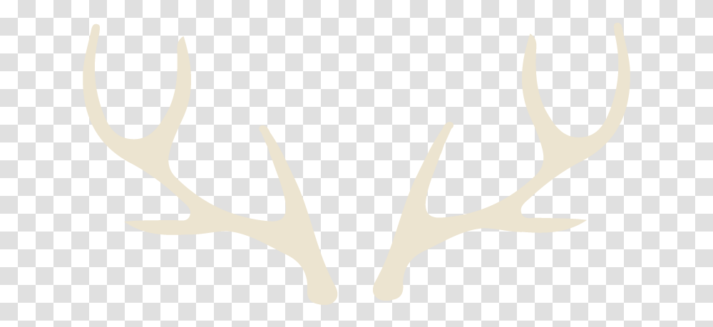 Antler Transparent Png