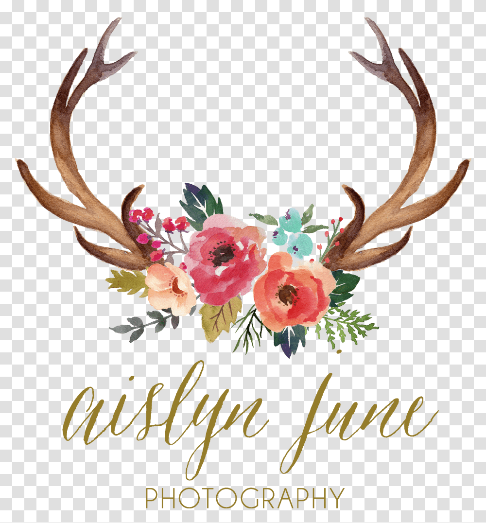 Antler Watercolor Painting Clip Antlers And Flowers Clipart, Mail, Envelope, Floral Design Transparent Png