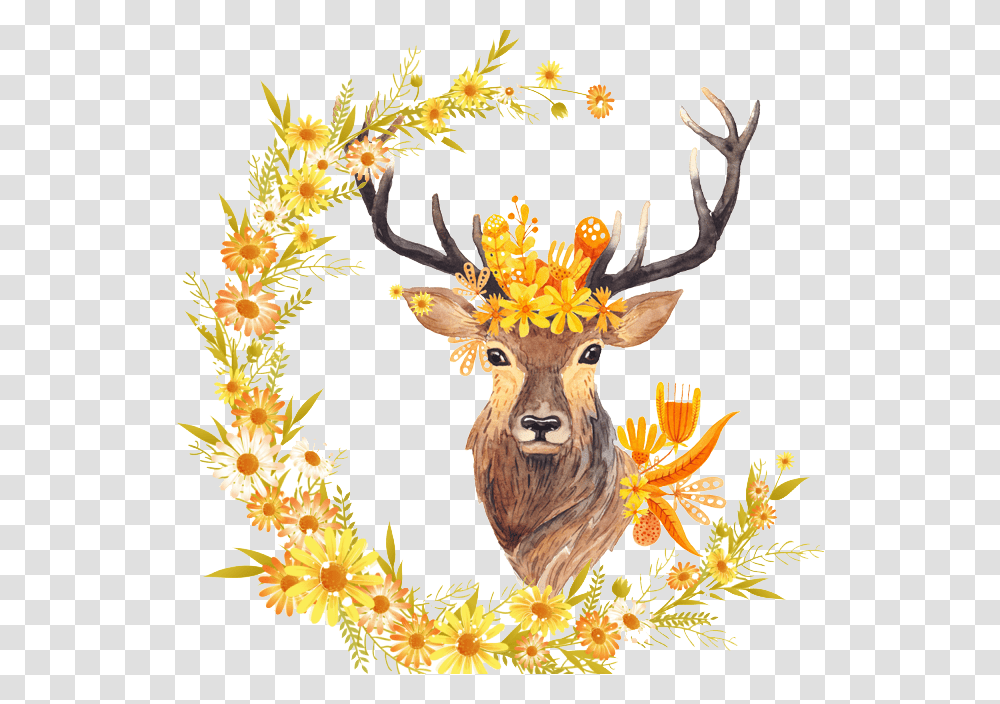 Antlers Clipart Watercolor Fall Clipart Free, Deer, Wildlife, Mammal, Animal Transparent Png