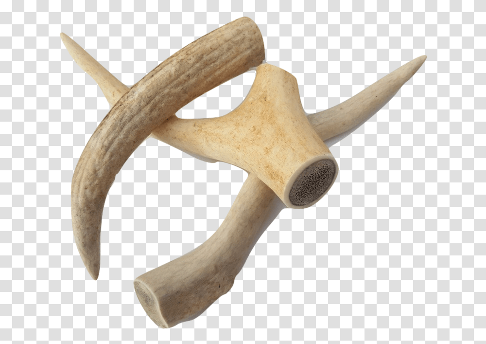 Antlers For Dogs Small Wood, Axe, Tool, Hammer, Agaric Transparent Png