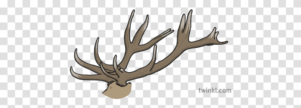 Antlers Illustration Twinkl Elk, Scissors, Blade, Weapon, Weaponry Transparent Png