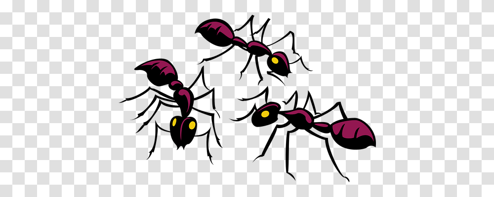 Ants Tool, Pattern Transparent Png