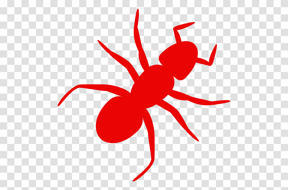 Ants Clip Art, Animal, Invertebrate, Insect, Dynamite Transparent Png