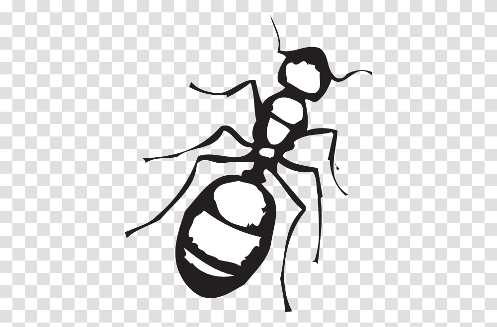 Ants Clipart Five, Insect, Invertebrate, Animal, Spider Transparent Png