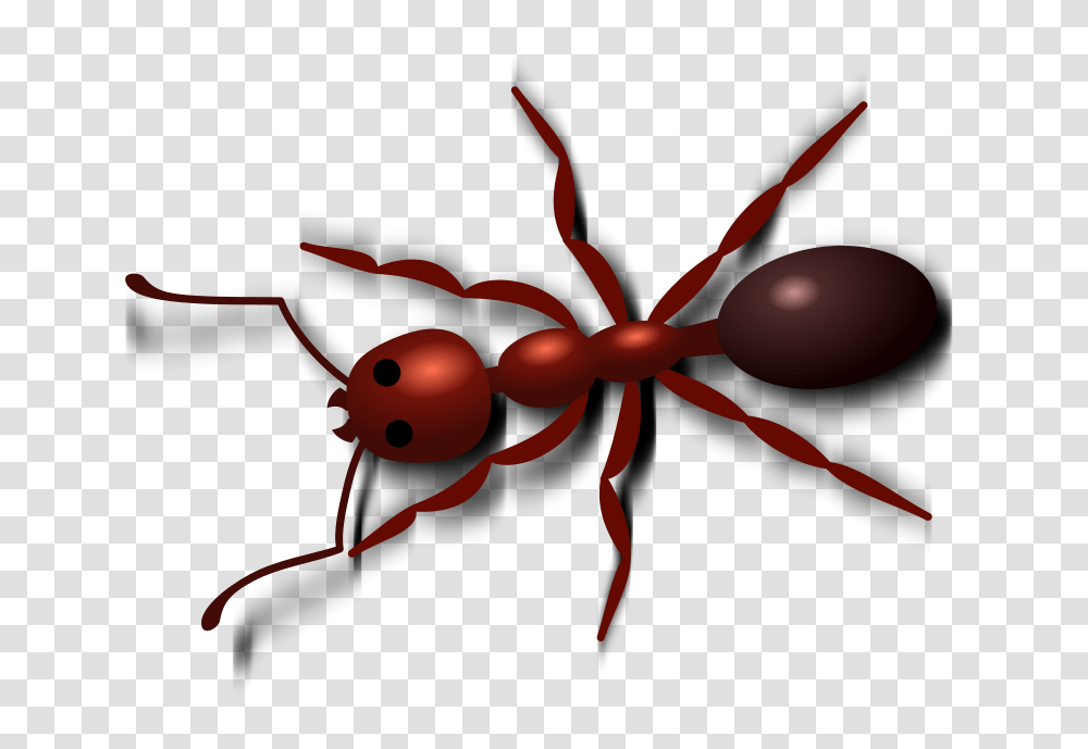 Ants Clipart Line Clip Art, Invertebrate, Animal, Insect Transparent Png