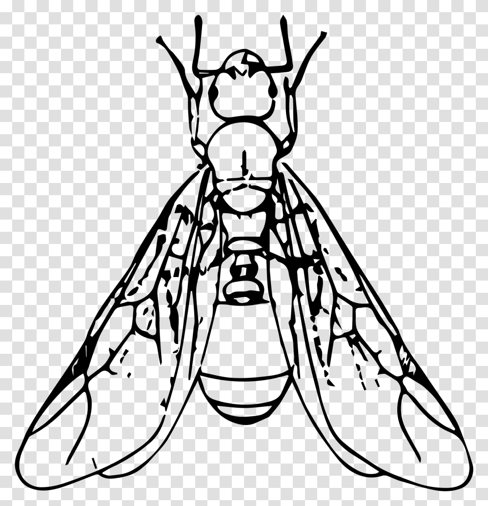 Ants Clipart Outline, Gray, World Of Warcraft Transparent Png