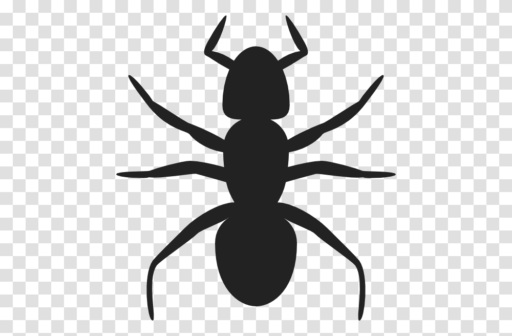 Ants Clipart Shadow, Invertebrate, Animal, Insect Transparent Png