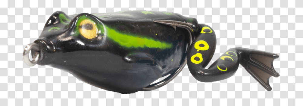 Anura Black Fire Salamander, Fish, Animal, Bird, Sea Life Transparent Png
