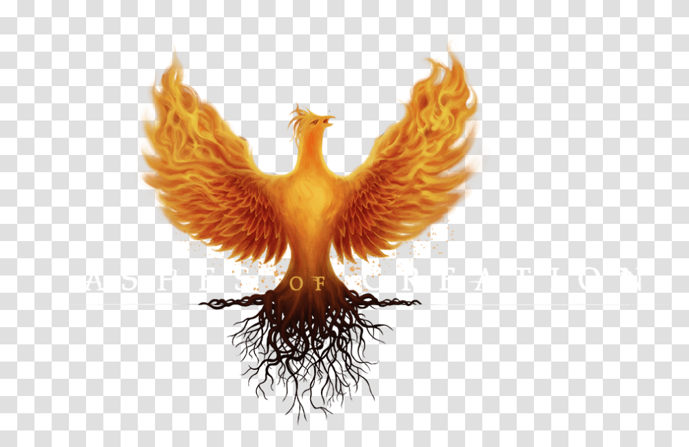 Aoc New Logo Text Logo Ashes Of Creation, Chicken, Fowl, Bird, Animal Transparent Png