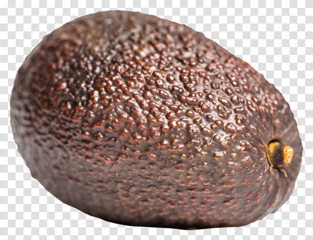 Aocado Image Free Images Brown Avocado, Plant, Fruit, Food, Bread Transparent Png