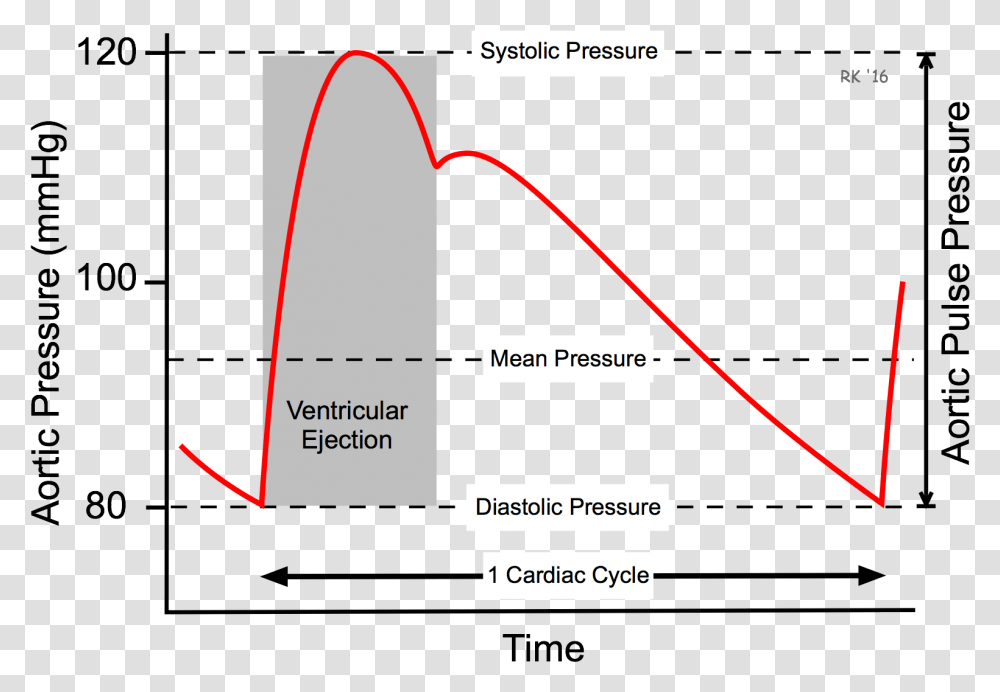 Aortic Pulse Pressure Arterial Blood Pressure Curve, Plot, Diagram, Outdoors Transparent Png