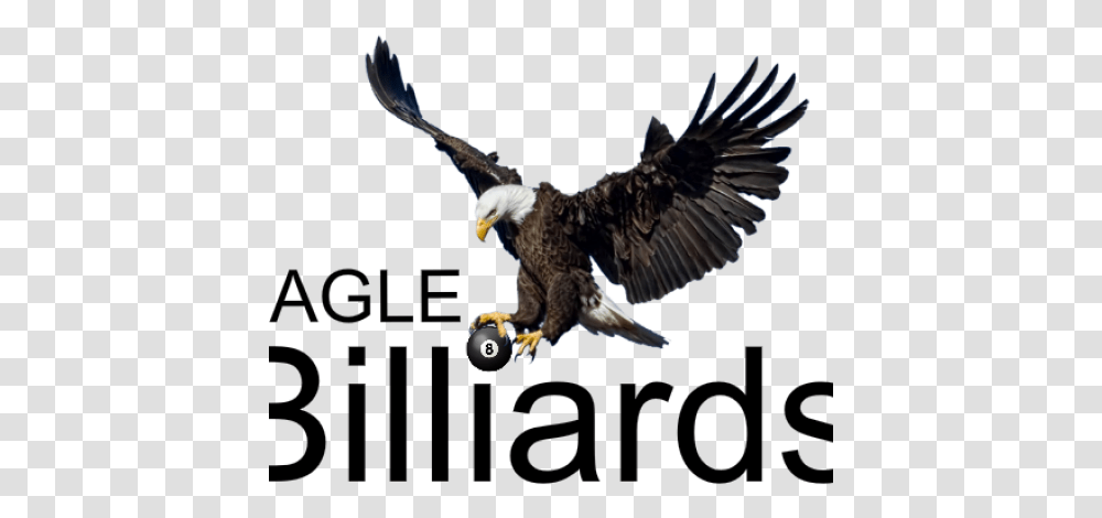 Apa Eagle Logo Logopng Images Love Allama Iqbal Poetry, Bird, Animal, Bald Eagle, Chicken Transparent Png