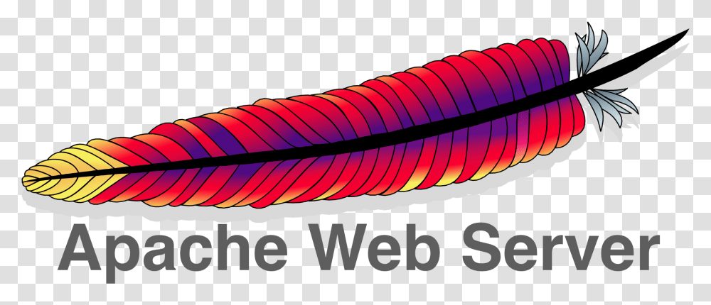 Apache Web Server, Leaf, Plant, Veins, Logo Transparent Png