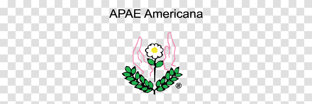 Apae Americana Logo Vector Transparent Png
