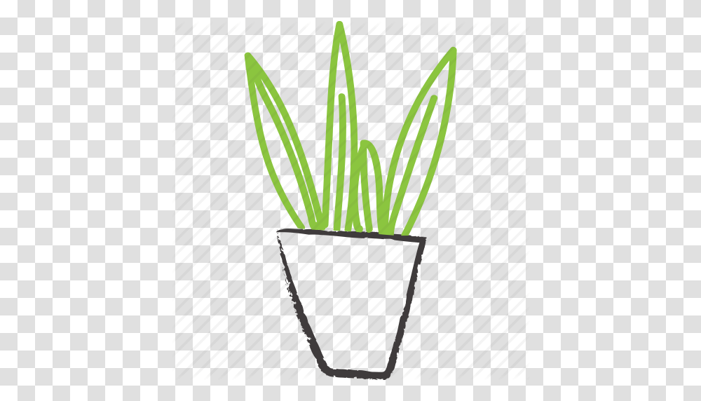 Apartment Plant Decorative Green Plant Planter Sketchy Sword, Aloe, Pot, Bamboo Transparent Png