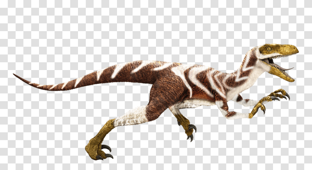Apatosaurus Velociraptor Dinosaur King Baryonyx Edmontosaurus, Lizard, Reptile, Animal, Mammal Transparent Png