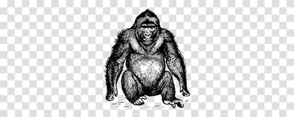 Ape Animals, Gray, World Of Warcraft Transparent Png