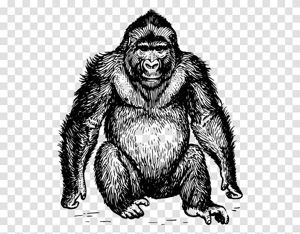 Ape Black And White, Gray, World Of Warcraft Transparent Png