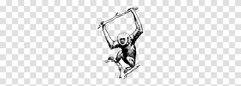 Ape Hanging From Branch Clip Art, Gray, World Of Warcraft Transparent Png