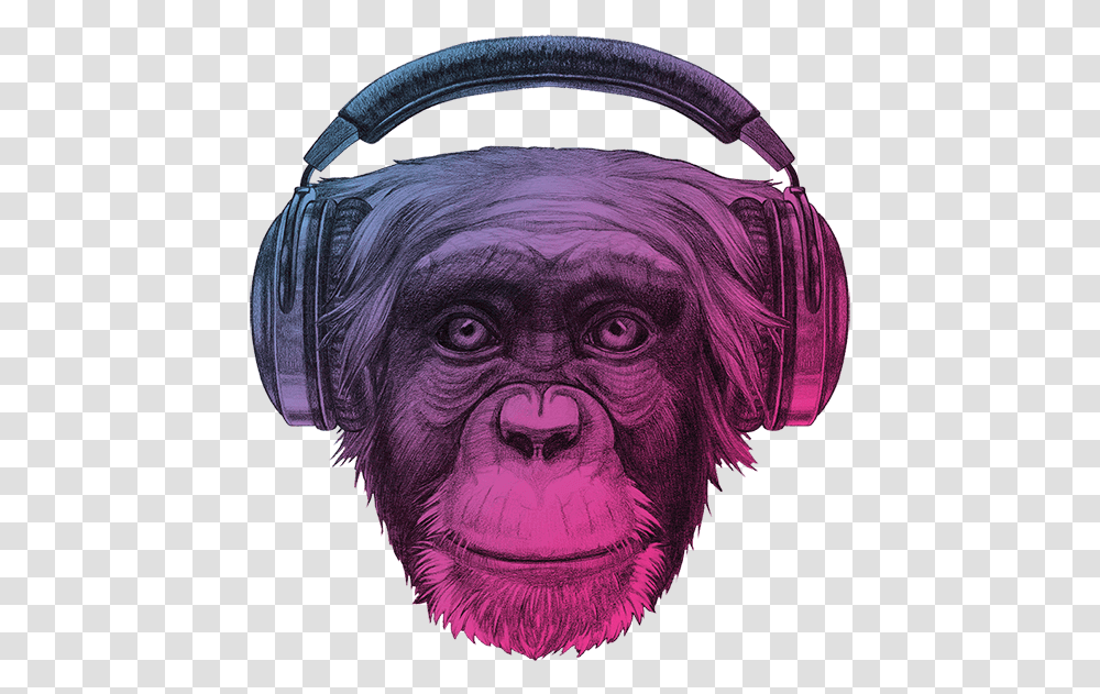 Ape Thinker S Contact Background Chimpanzee With Headphones Colorful, Wildlife, Animal, Mammal, Person Transparent Png