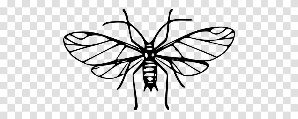 Aphid Animals, Gray, World Of Warcraft Transparent Png