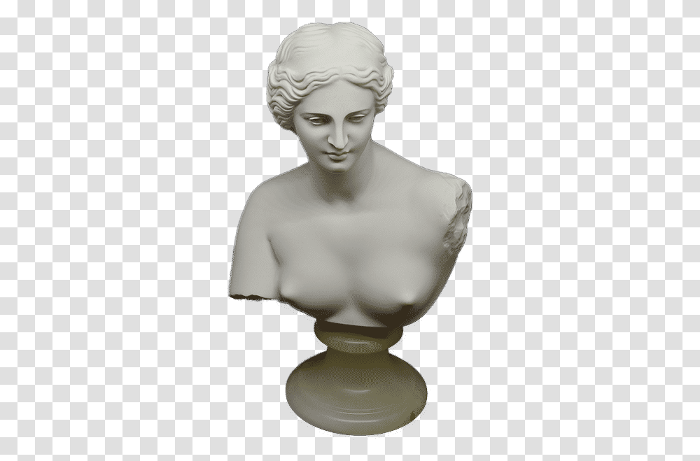 Aphrodite Of Milos H 22 Cm Bust Bust, Mannequin, Person, Human, Head Transparent Png