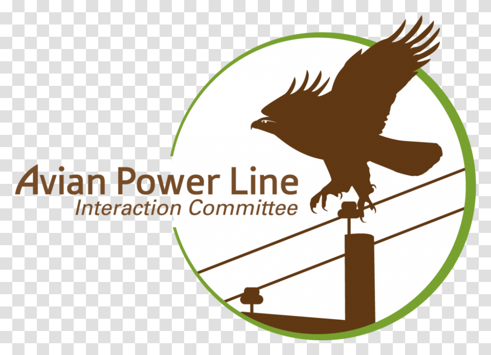 Aplic 4clogo Avian Power Line Interaction Committee, Bird, Animal, Jay Transparent Png