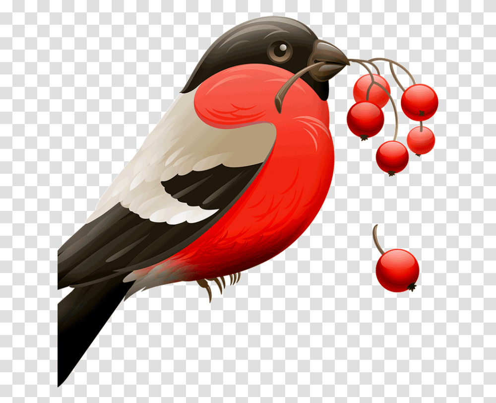Aplicaciones Para Eliminar El Fondo De Una Imagen Apptuts Birds And Berries Clipart, Animal, Finch, Beak, Cardinal Transparent Png