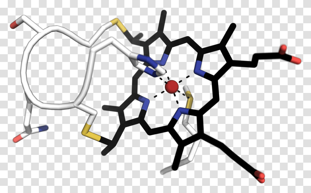 Apo Cytochrome C, Leisure Activities, Bagpipe, Musical Instrument, Music Band Transparent Png