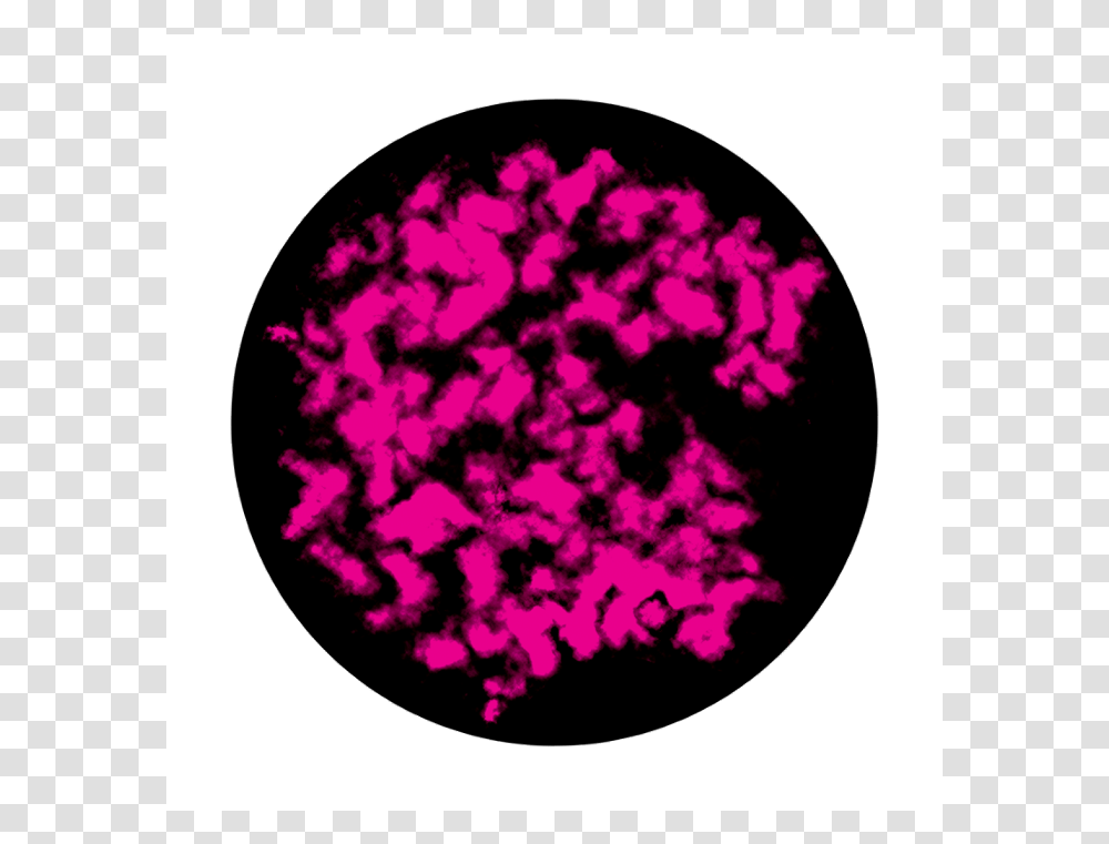 Apollo 2 Color Glass Gobo 1132 Powdered Pink Circle, Petal, Flower, Plant, Paper Transparent Png