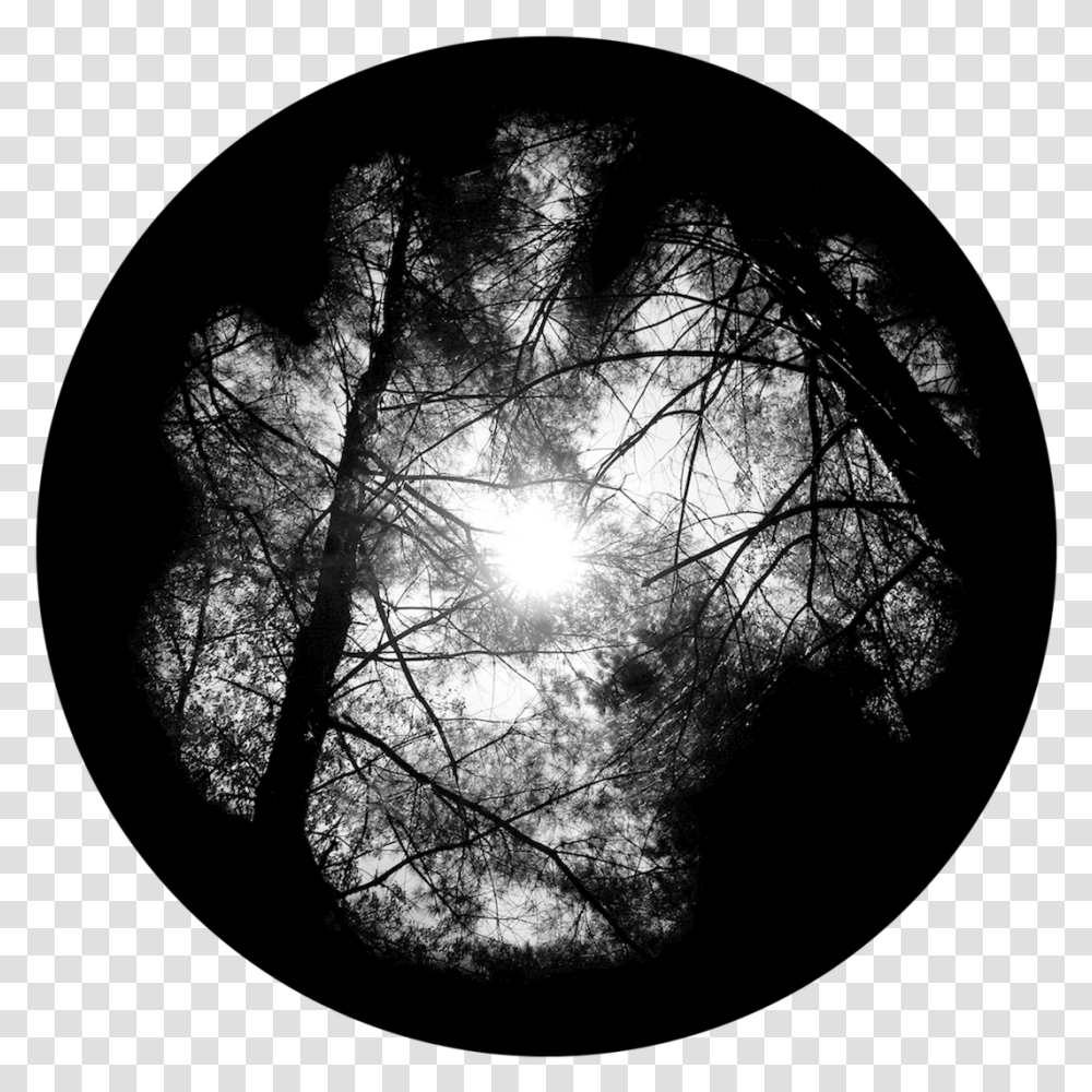 Apollo Forest Canopy Sr0224 Canopy Gobo, Sunlight, Silhouette, Moon, Outer Space Transparent Png