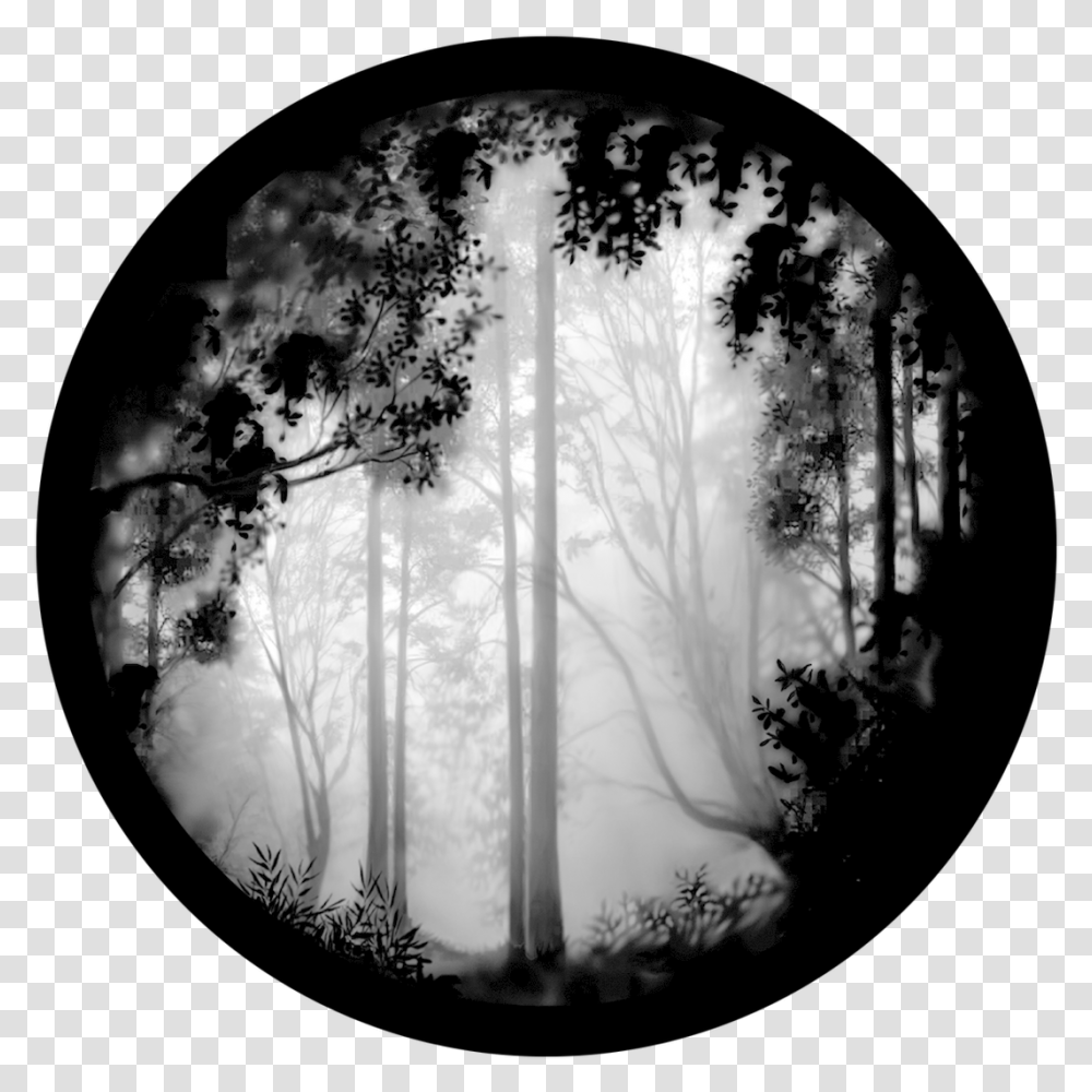 Apollo Forest Misty Black And White Scenery, Nature, Outdoors, Fog, Weather Transparent Png