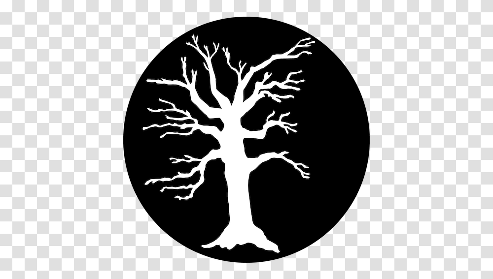 Apollo Scary Tree White Scary Tree, Stencil, Silhouette, Plant Transparent Png