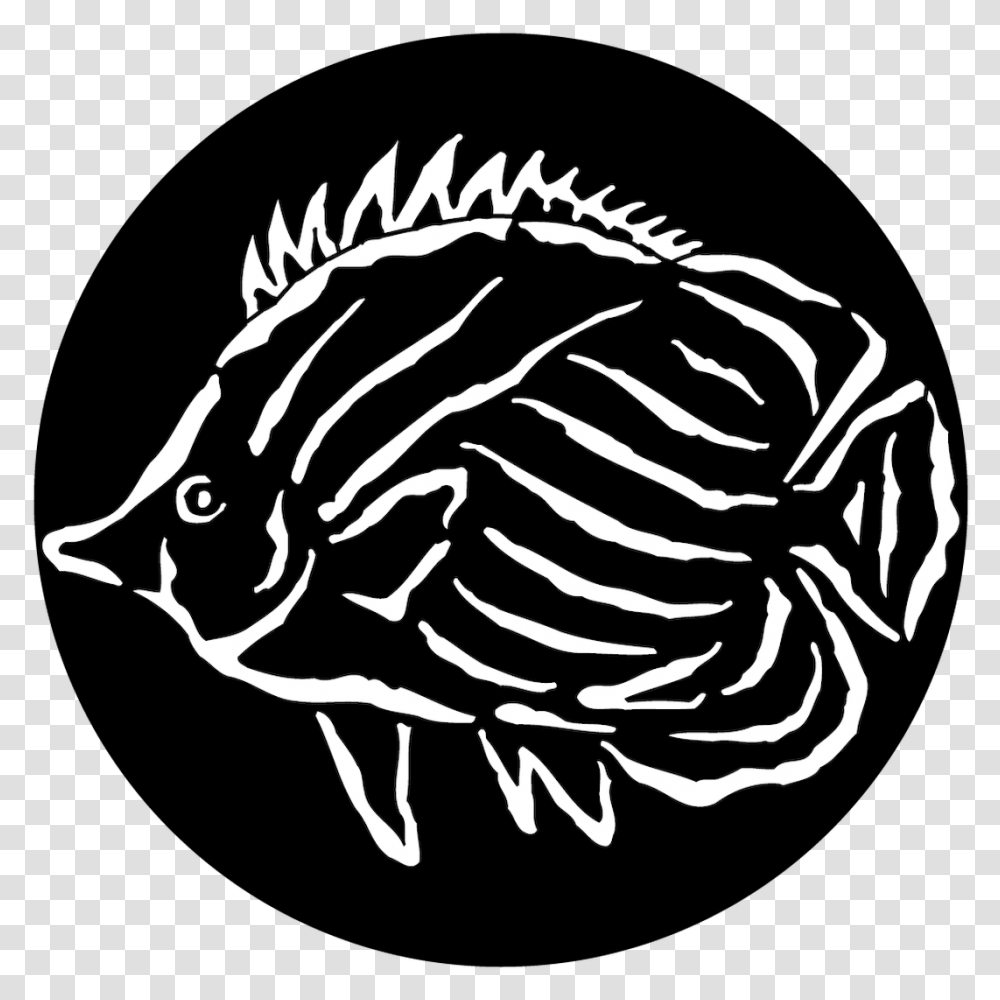 Apollo Sea Tropical Fish Illustration, Stencil, Animal, Angelfish, Sea Life Transparent Png