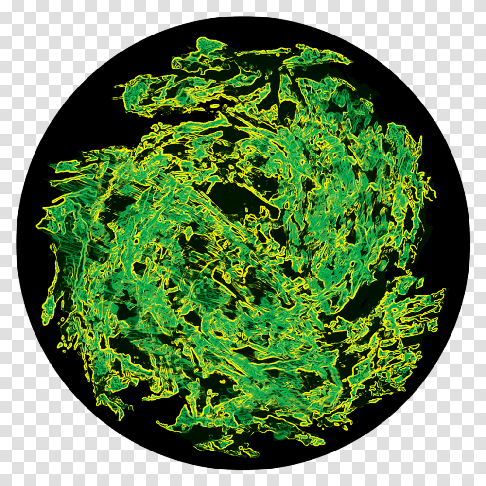 Apollo Swamp Organism Circle, Ornament, Pattern, Fractal Transparent Png
