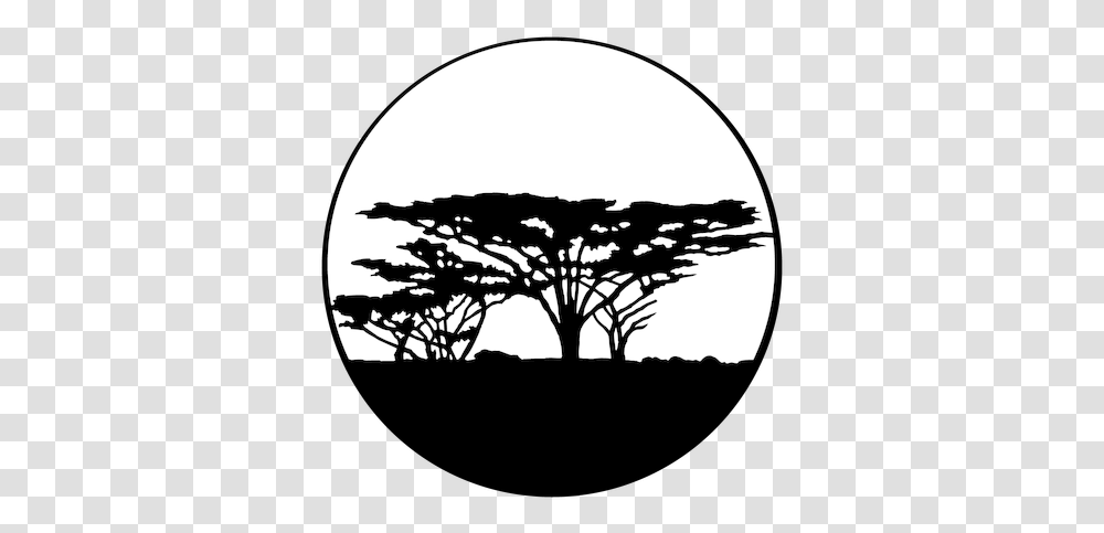 Apollo Trees Africa Me4117 Silhouette, Lamp, Stencil, Nature, Outdoors Transparent Png